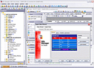 EMS SQL Manager 2007 Lite for Oracle screenshot